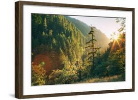 Along Eagle Creek Trail, Columbia River Gorge, Oregon-Vincent James-Framed Photographic Print