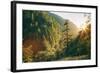 Along Eagle Creek Trail, Columbia River Gorge, Oregon-Vincent James-Framed Photographic Print