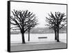 Along Lake Lucerne, Lucerne, Switzerland-Walter Bibikow-Framed Stretched Canvas
