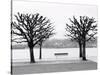 Along Lake Lucerne, Lucerne, Switzerland-Walter Bibikow-Stretched Canvas