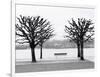 Along Lake Lucerne, Lucerne, Switzerland-Walter Bibikow-Framed Photographic Print