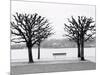 Along Lake Lucerne, Lucerne, Switzerland-Walter Bibikow-Mounted Photographic Print