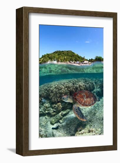 Along Shore-null-Framed Art Print