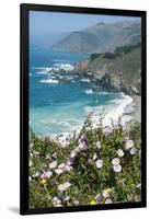 Along the Big Sur Coastline, California-Zandria Muench Beraldo-Framed Photographic Print