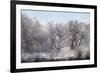 Along the Bosque, New Mexico-Zandria Muench Beraldo-Framed Photographic Print