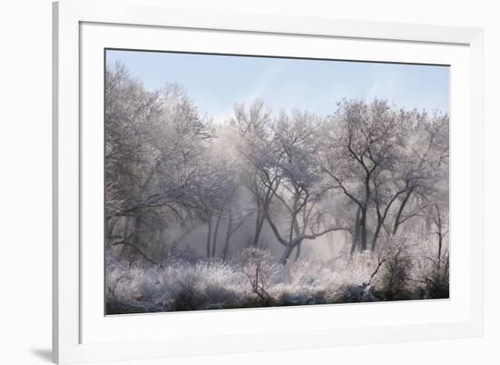 Along the Bosque, New Mexico-Zandria Muench Beraldo-Framed Premium Photographic Print