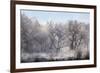 Along the Bosque, New Mexico-Zandria Muench Beraldo-Framed Premium Photographic Print