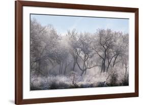 Along the Bosque, New Mexico-Zandria Muench Beraldo-Framed Premium Photographic Print