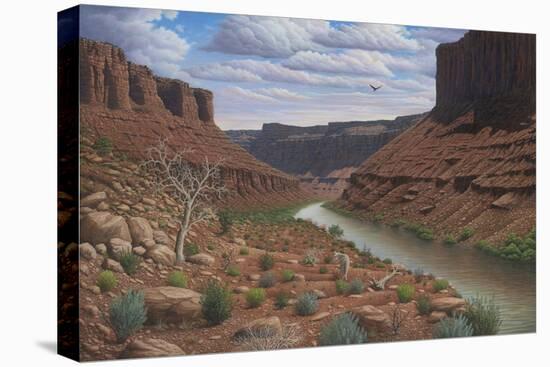 Along the Colorado-Robert Wavra-Stretched Canvas