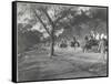 Along the Grand Trunk Road into Delhi, December 1912-English Photographer-Framed Stretched Canvas