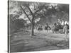 Along the Grand Trunk Road into Delhi, December 1912-English Photographer-Stretched Canvas