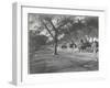 Along the Grand Trunk Road into Delhi, December 1912-English Photographer-Framed Photographic Print