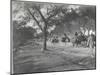 Along the Grand Trunk Road into Delhi, December 1912-English Photographer-Mounted Photographic Print