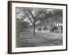 Along the Grand Trunk Road into Delhi, December 1912-English Photographer-Framed Photographic Print