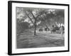 Along the Grand Trunk Road into Delhi, December 1912-English Photographer-Framed Photographic Print