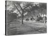 Along the Grand Trunk Road into Delhi, December 1912-English Photographer-Stretched Canvas