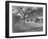 Along the Grand Trunk Road into Delhi, December 1912-English Photographer-Framed Premium Photographic Print