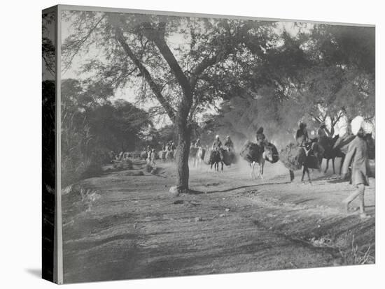 Along the Grand Trunk Road into Delhi, December 1912-English Photographer-Stretched Canvas