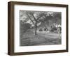 Along the Grand Trunk Road into Delhi, December 1912-English Photographer-Framed Photographic Print