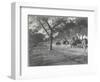 Along the Grand Trunk Road into Delhi, December 1912-English Photographer-Framed Photographic Print