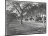 Along the Grand Trunk Road into Delhi, December 1912-English Photographer-Mounted Photographic Print