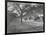 Along the Grand Trunk Road into Delhi, December 1912-English Photographer-Framed Photographic Print