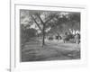 Along the Grand Trunk Road into Delhi, December 1912-English Photographer-Framed Photographic Print