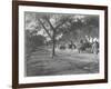 Along the Grand Trunk Road into Delhi, December 1912-English Photographer-Framed Photographic Print