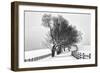 Along the Lane I-Aledanda-Framed Art Print