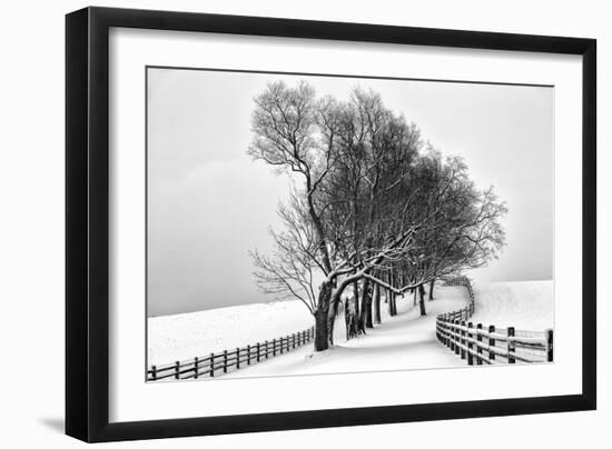 Along the Lane I-Aledanda-Framed Art Print