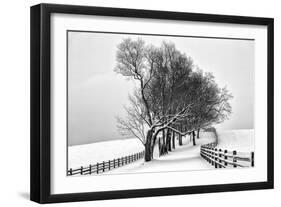 Along the Lane I-Aledanda-Framed Art Print