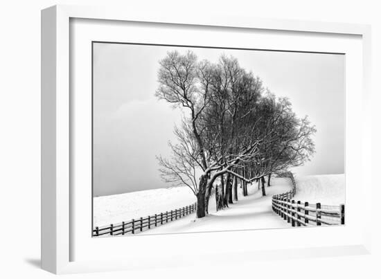 Along the Lane I-Aledanda-Framed Art Print