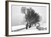 Along the Lane I-Aledanda-Framed Art Print