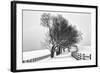 Along the Lane I-Aledanda-Framed Art Print