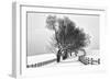 Along the Lane I-Aledanda-Framed Premium Giclee Print