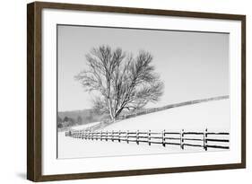 Along the Lane II-Aledanda-Framed Art Print