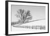 Along the Lane II-Aledanda-Framed Art Print