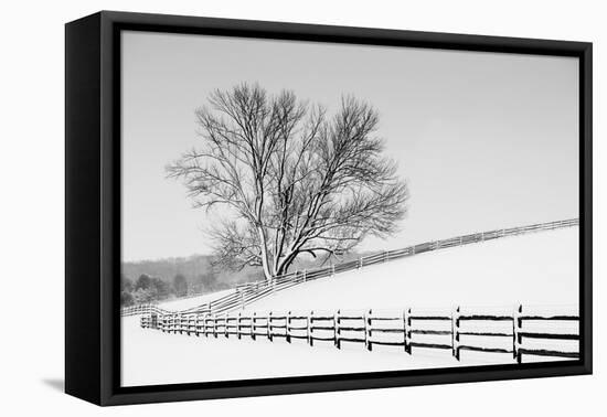 Along the Lane II-Aledanda-Framed Stretched Canvas