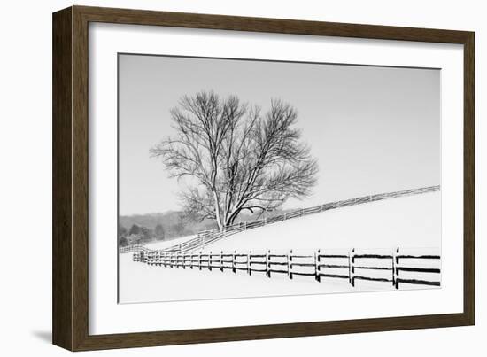 Along the Lane II-Aledanda-Framed Premium Giclee Print