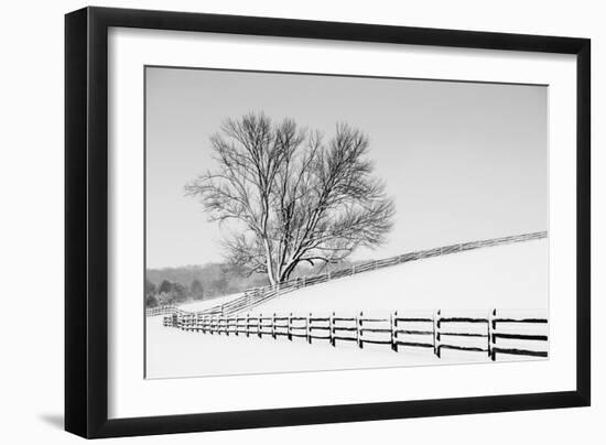 Along the Lane II-Aledanda-Framed Art Print