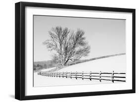 Along the Lane II-Aledanda-Framed Art Print