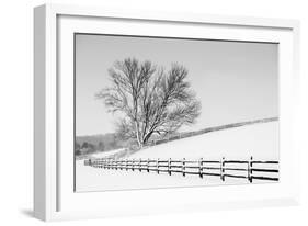 Along the Lane II-Aledanda-Framed Art Print