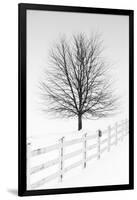 Along the Lane III-Aledanda-Framed Art Print