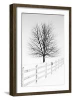 Along the Lane III-Aledanda-Framed Art Print