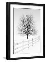 Along the Lane III-Aledanda-Framed Art Print