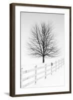 Along the Lane III-Aledanda-Framed Art Print