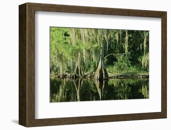 Along the Lazy River-null-Framed Art Print