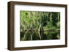 Along the Lazy River-null-Framed Art Print