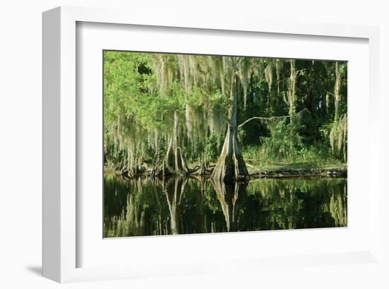 Along the Lazy River-null-Framed Art Print