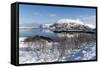 Along the National Tourist Road, Lofoten Islands, Arctic, Norway, Scandinavia-Sergio Pitamitz-Framed Stretched Canvas